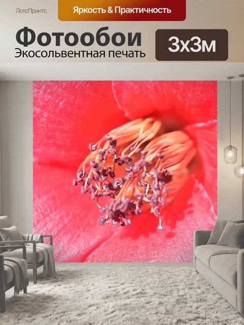Фотообои Хлопок Шелковый цветок