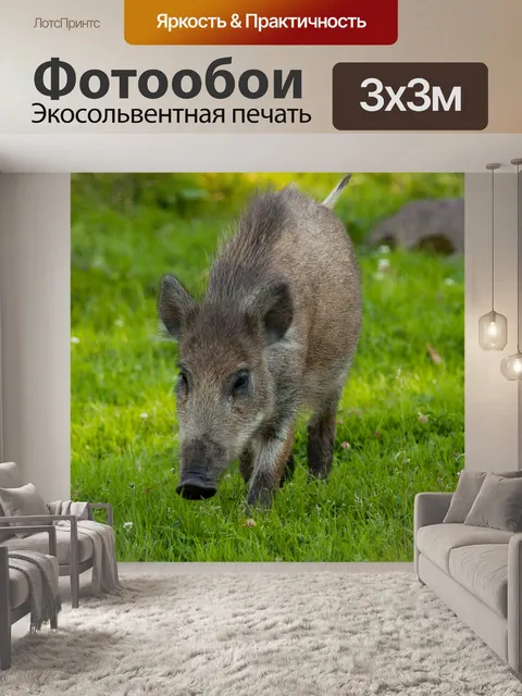 Фотообои кабан на траве