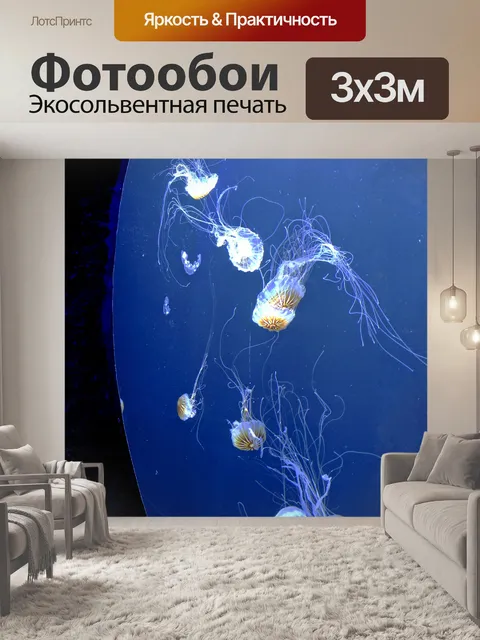 Фотообои Jelly Fish