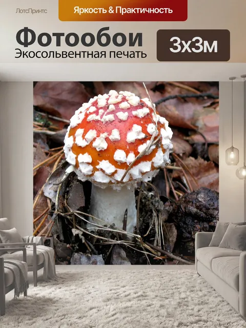 Фотообои Красная поганка