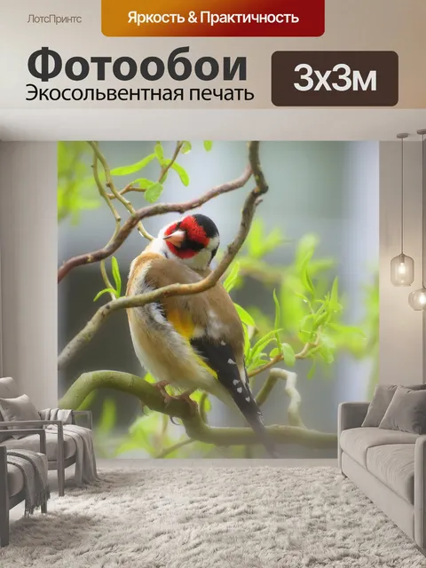 Фотообои Снегирь