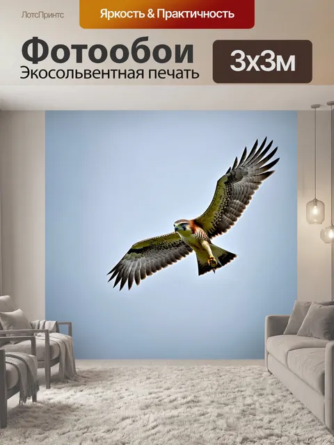 Фотообои птица сокол, взмывающая высоко в небо, с резким фокусом и размытым фоном, в технике фотографии с…