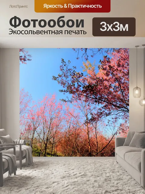 Фотообои Prunus cerasoides, дикая гималайская виш