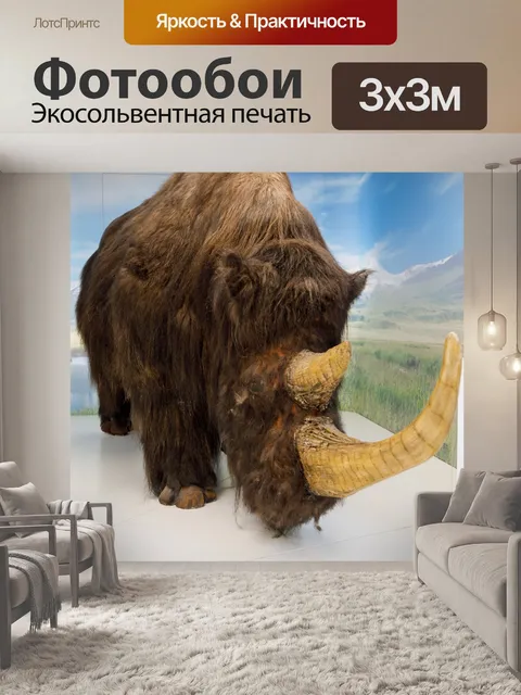 Фотообои Шерстистый носорог