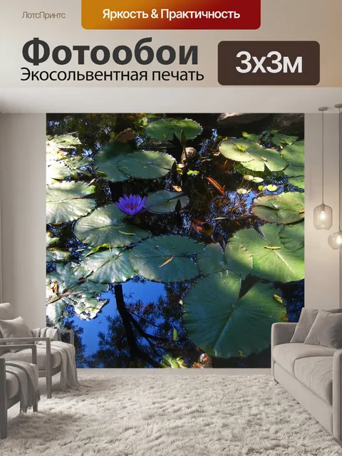 Фотообои большие листья кувшинки