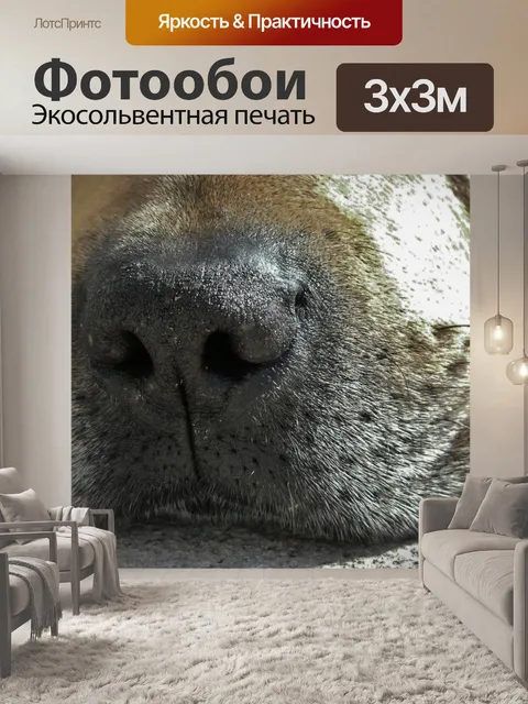 Фотообои Собака