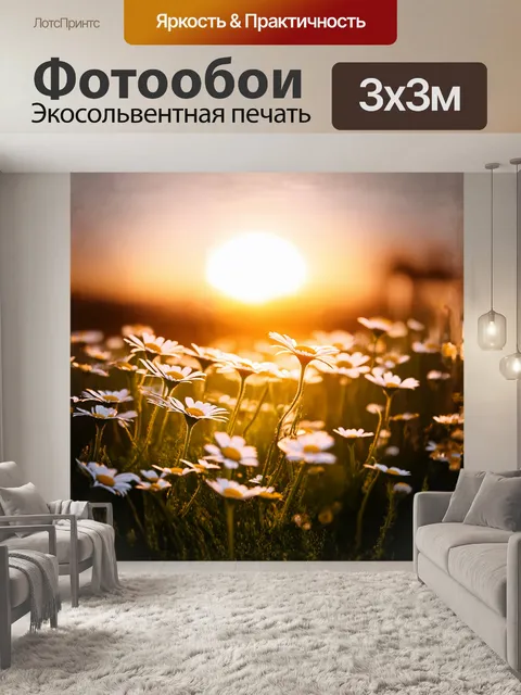 Фотообои на желтом закате ромашки клонятся под порывами легкого ветерка