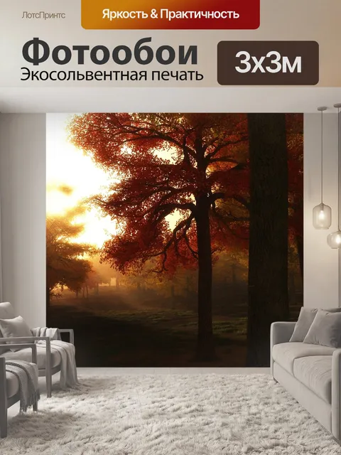 Фотообои Осенние деревья