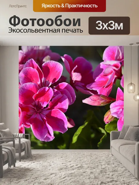 Фотообои Герань
