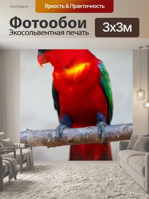 Фотообои Пурпурношапочный широкохвостый лори