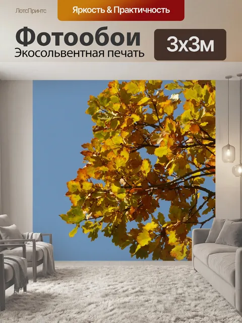 Фотообои Дубовые листья