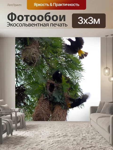 Фотообои Птицы