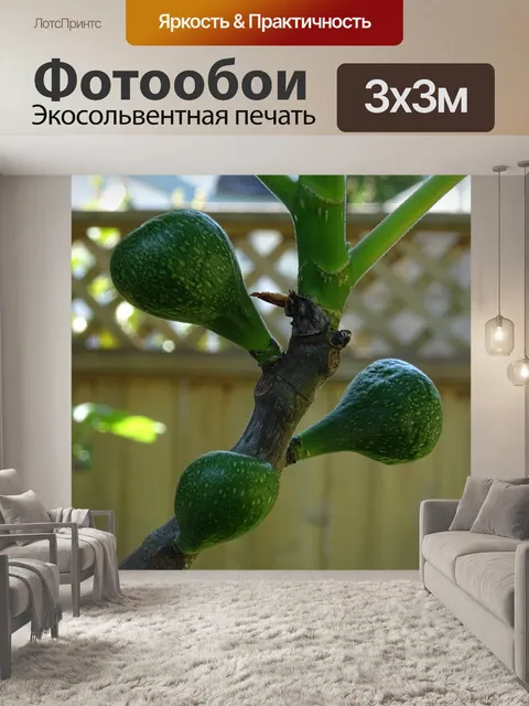 Фотообои Фиговый рис