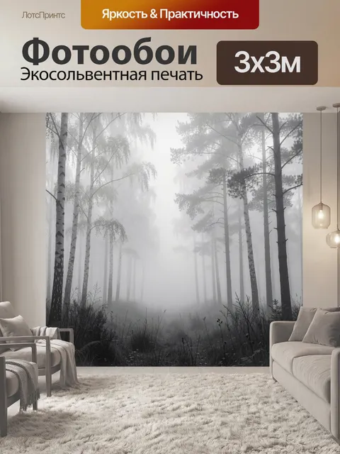 Фотообои Туманный лес с березами
