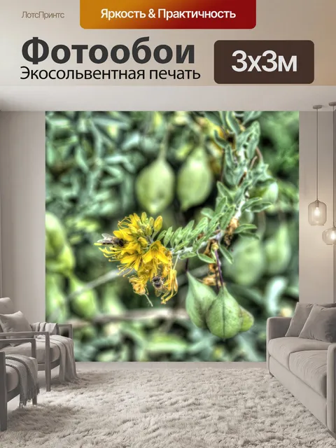 Фотообои Пчелы на цветке