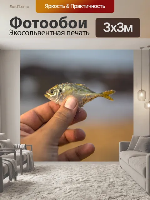 Фотообои Рыбы