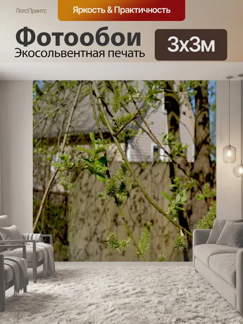 Фотообои Молодые листья