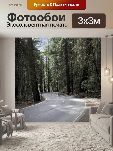 Фотообои Шоссе через лес