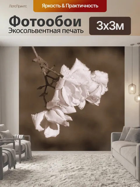 Фотообои Розы