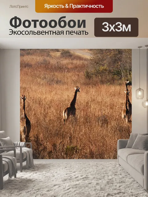 Фотообои группа жирафов в сухой траве
