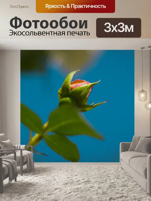 Фотообои Роуз