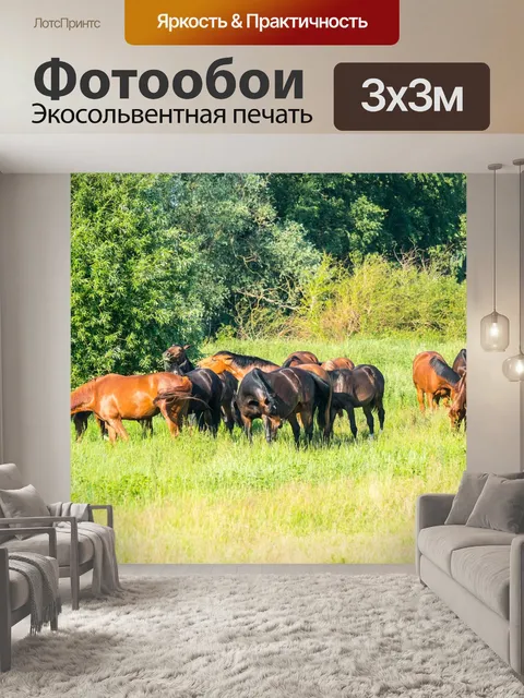 Фотообои Лошади