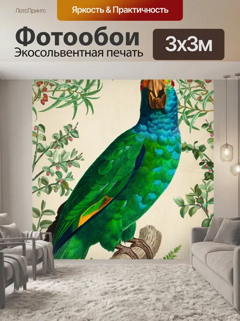 Фотообои Попугай старинный художественный плакат
