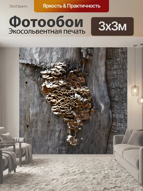 Фотообои Рост деревьев