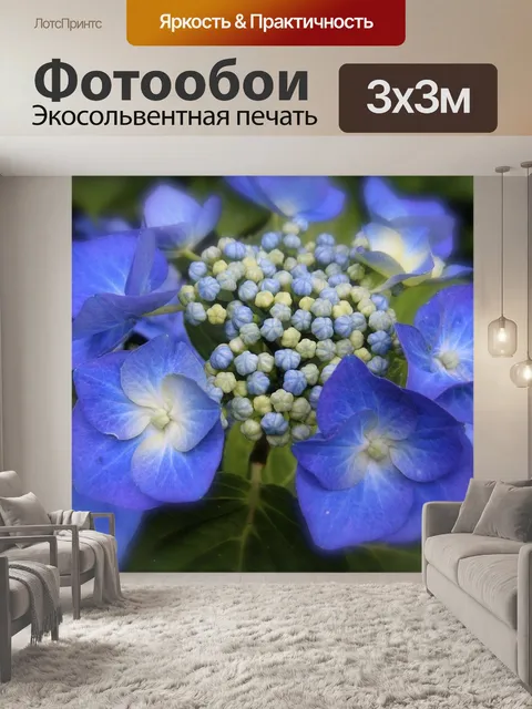 Фотообои Гортензия