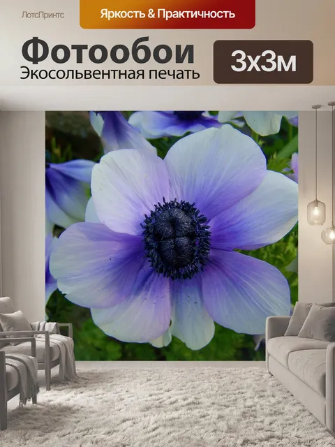 Фотообои Синий анемон