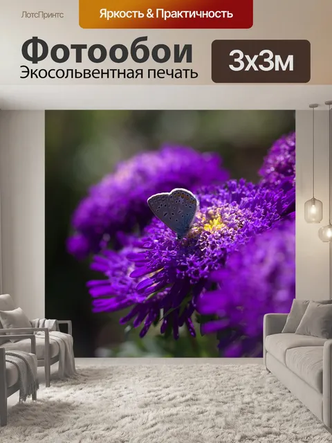 Фотообои Бабочка