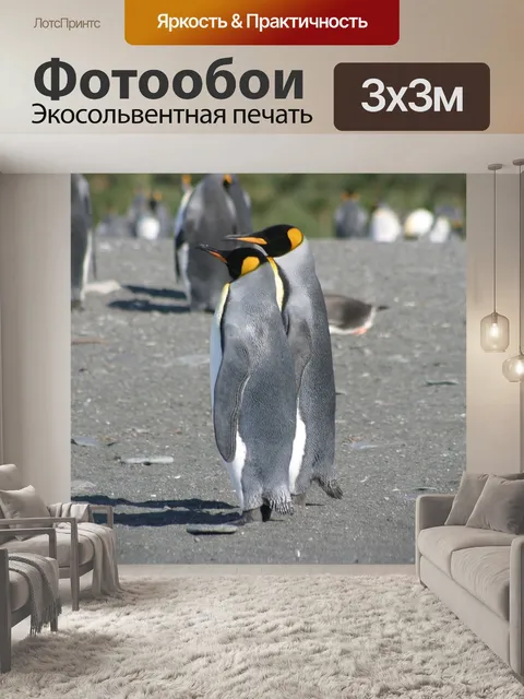 Фотообои Пингвины