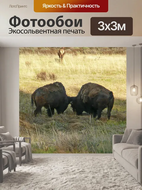 Фотообои Выпас