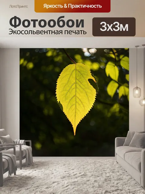 Фотообои листик на солнце