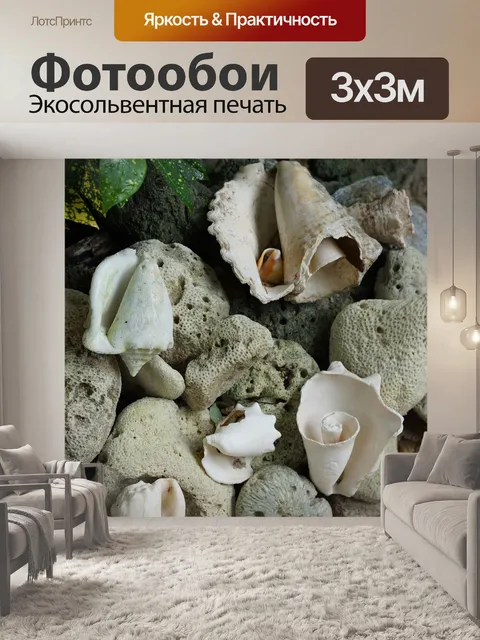 Фотообои Оболочка