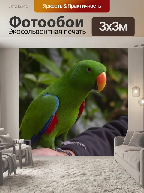 Фотообои Электус Попугай