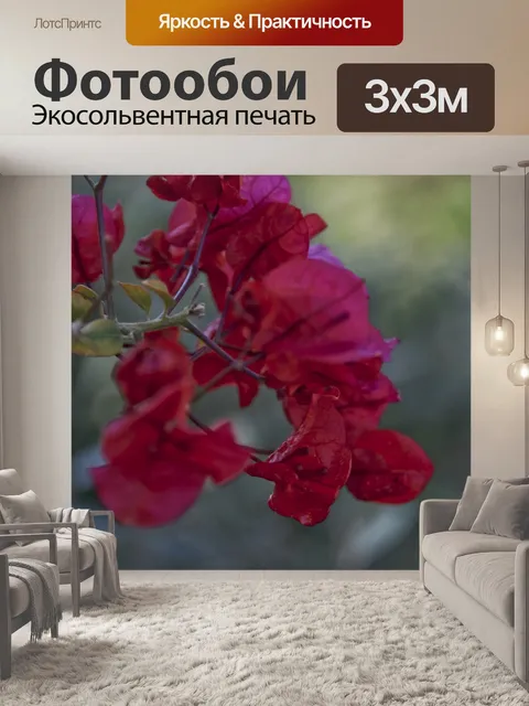 Фотообои Боейнвиллея в Красном