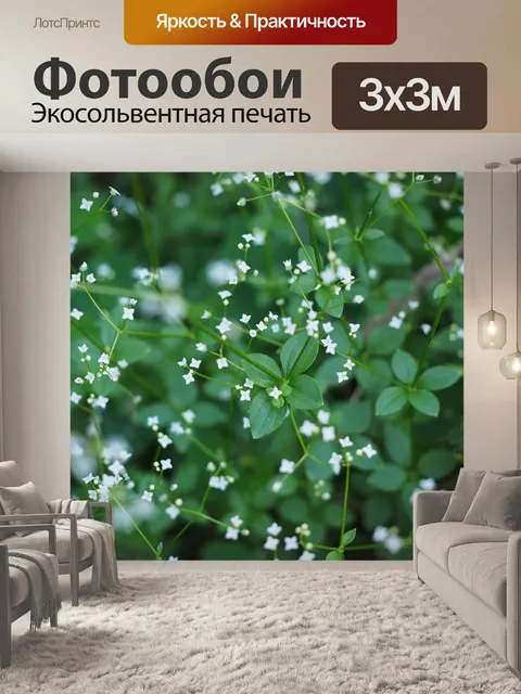 Фотообои Вокруг листьев подмаренника