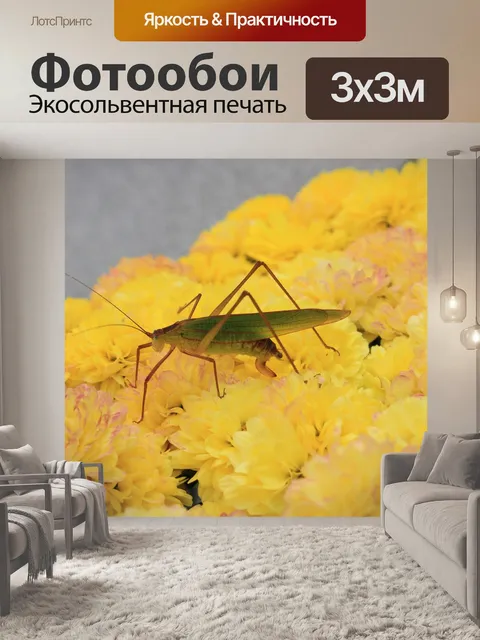 Фотообои Кузнечик
