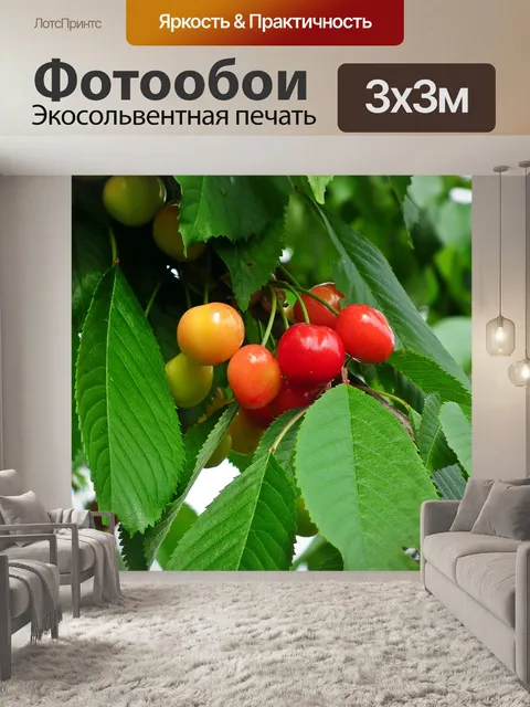 Фотообои Фрукты