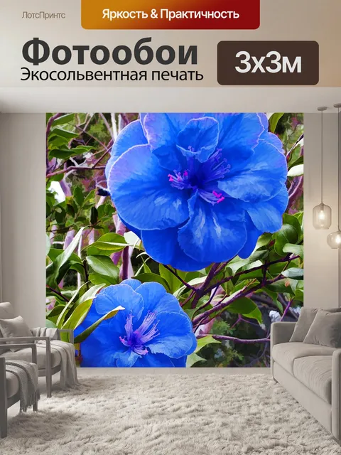 Фотообои цветы камелии