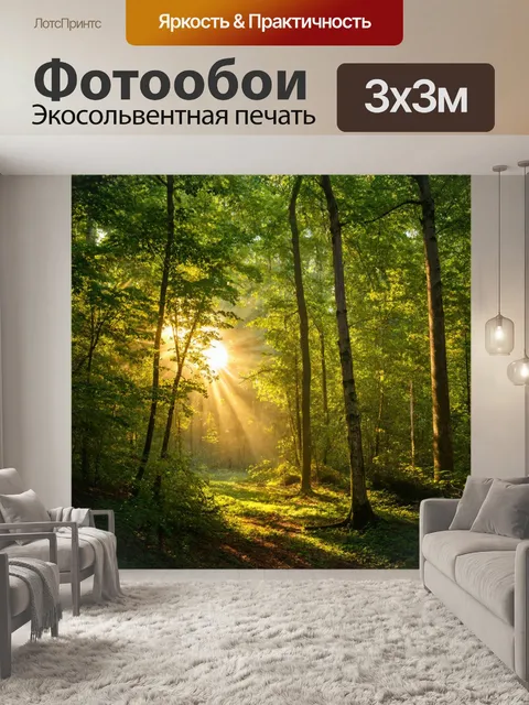 Фотообои лес с утренним солнцем, пробивающимся сквозь листву