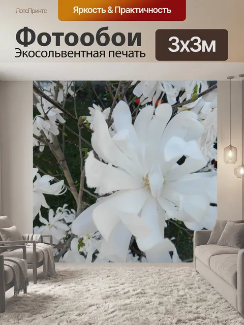 Фотообои Белые цветы (2)
