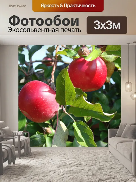 Фотообои Два яблоки