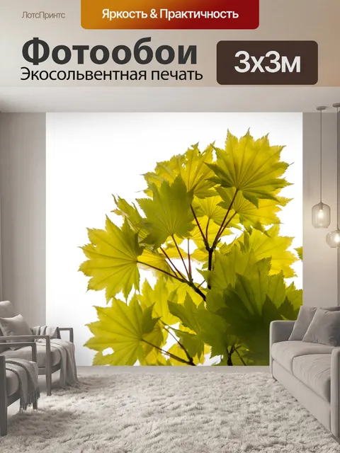 Фотообои Зеленые листья