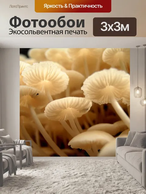 Фотообои Белый гриб