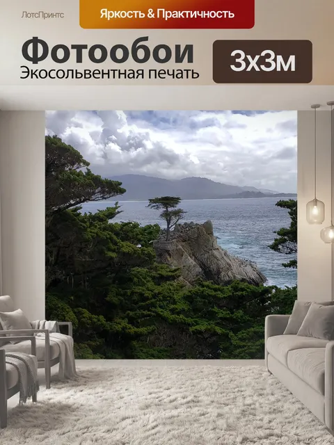 Фотообои Одинокий кипарис