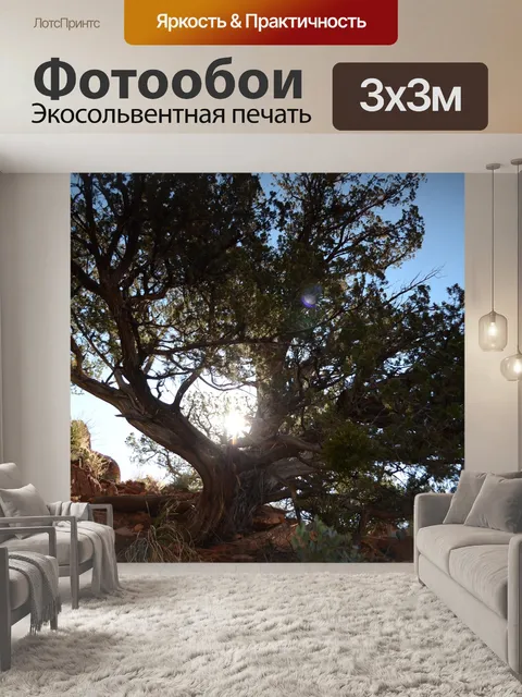 Фотообои Дерево