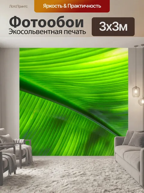 Фотообои Тропический