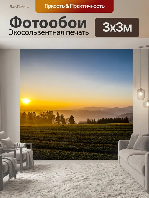 Фотообои Зимний день